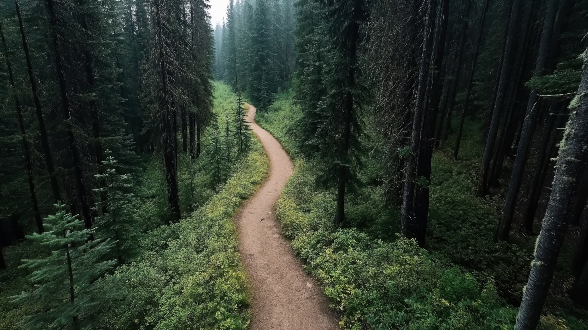 Long Path Partners